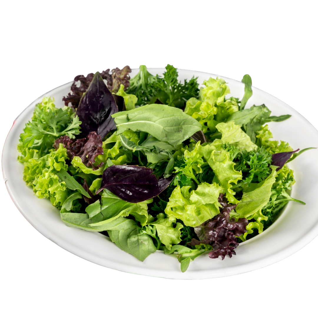 Basic Necessity Salad Time Argula & Mixed Greens 170g